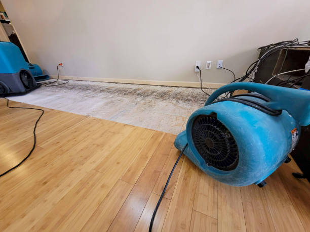 Reliable Basement Flood Cleanup contractor in Hill, NH by Hirex Water Damage