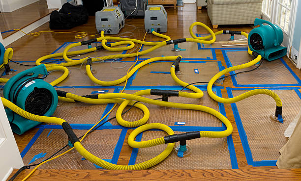 Professional Basement Flood Cleanup technician working in Hill, NH